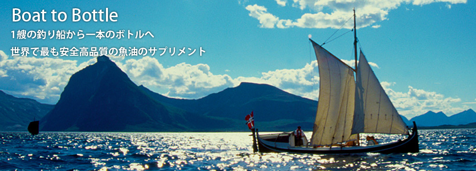 株式会社Bヘルシーメインイメージ