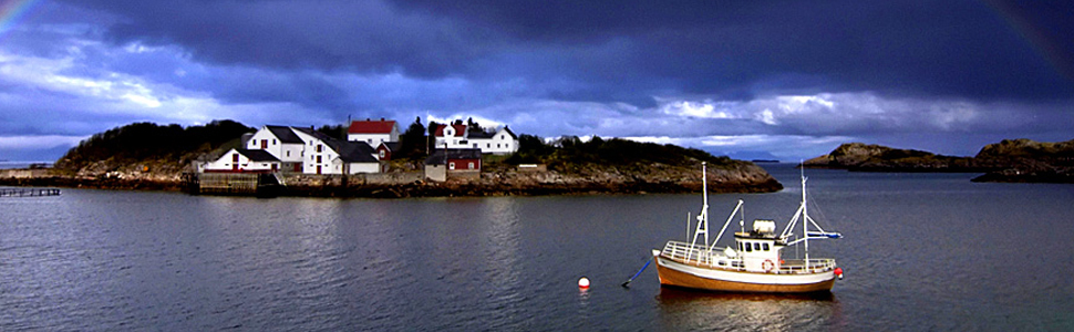 株式会社Bヘルシーページメインイメージ