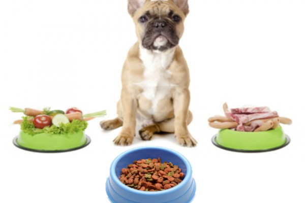 大切なペットにも必須脂肪酸を！