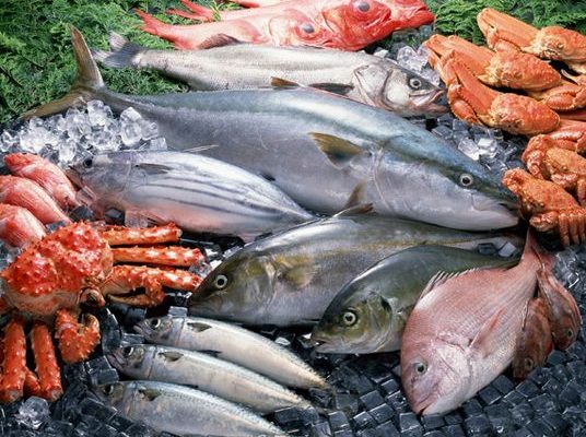 知っておくと安心！魚介の水銀濃度