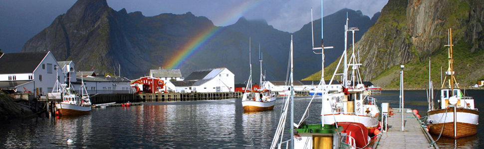 株式会社Bヘルシーページメインイメージ