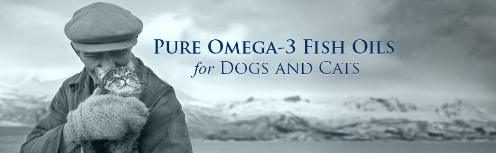 株式会社Bヘルシーページメインイメージ