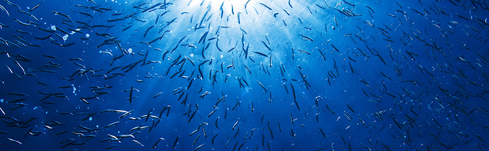 株式会社Bヘルシーページメインイメージ