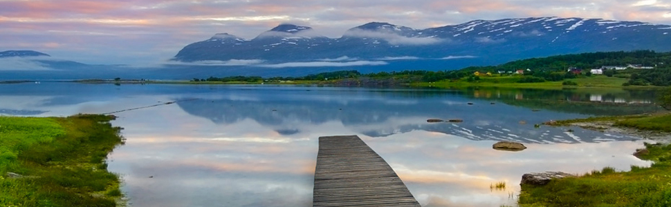 株式会社Bヘルシーページメインイメージ