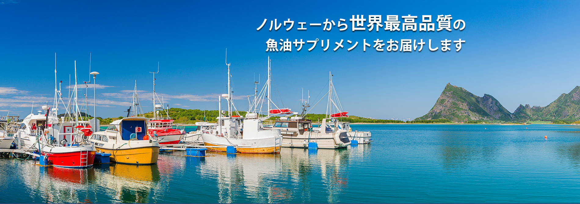 ノルウェーから世界最高品質の魚油サプリメントをお届けします